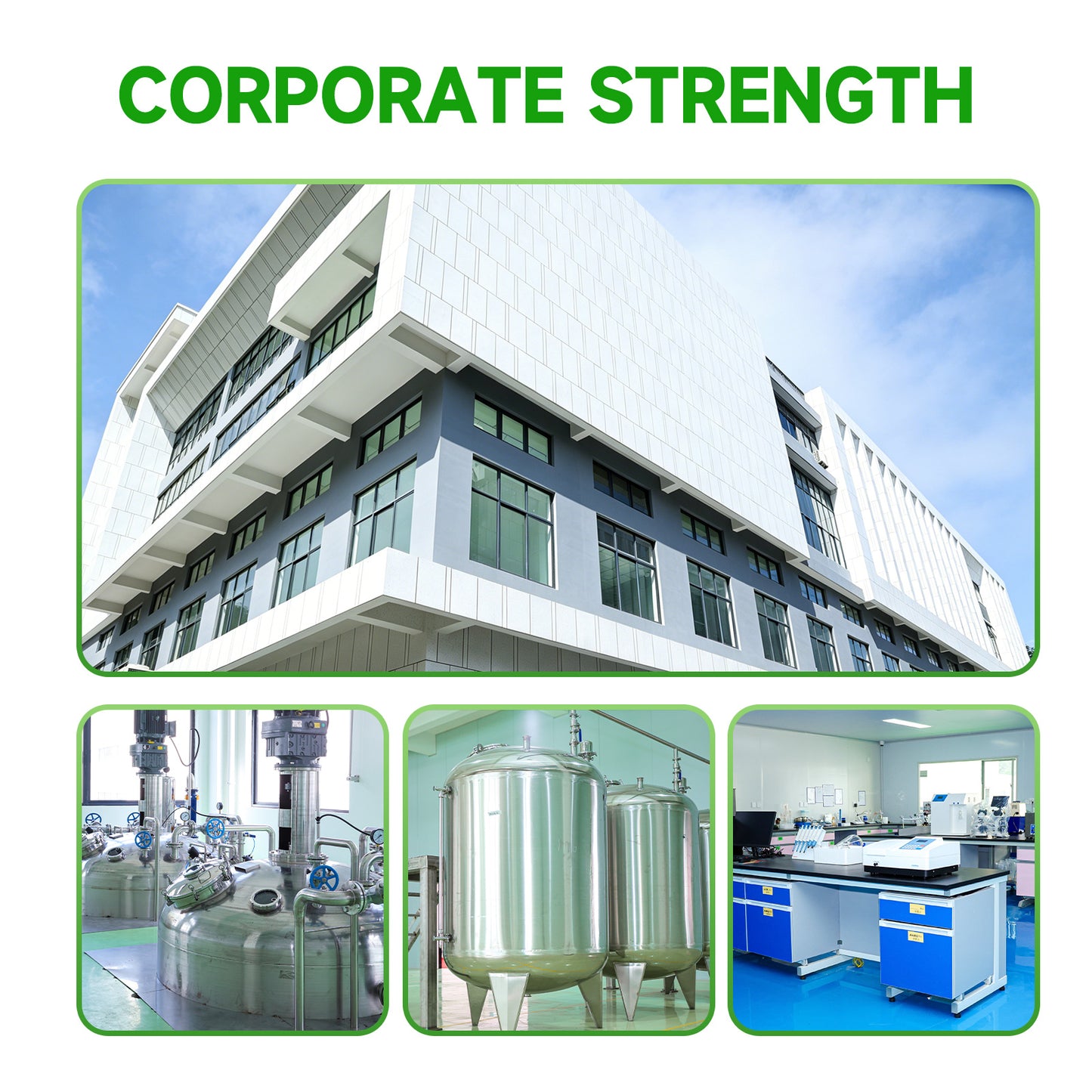 CellAuto+NMN Powder Manufacturer Free Sample Food Grade 99% Pure NMN Powder in Stock